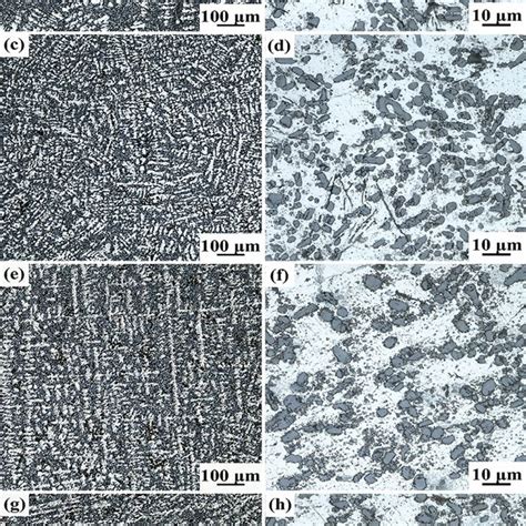 Optical Micrographs Of The As Cast Al Si Mn Mg Xsc X