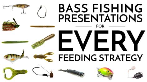 Popular Bass Fishing Presentations For Every Feeding Strategy The