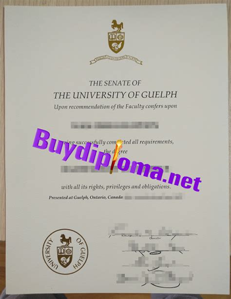 How To Buy Fake University Of Guelph Degree Fake College Diploma