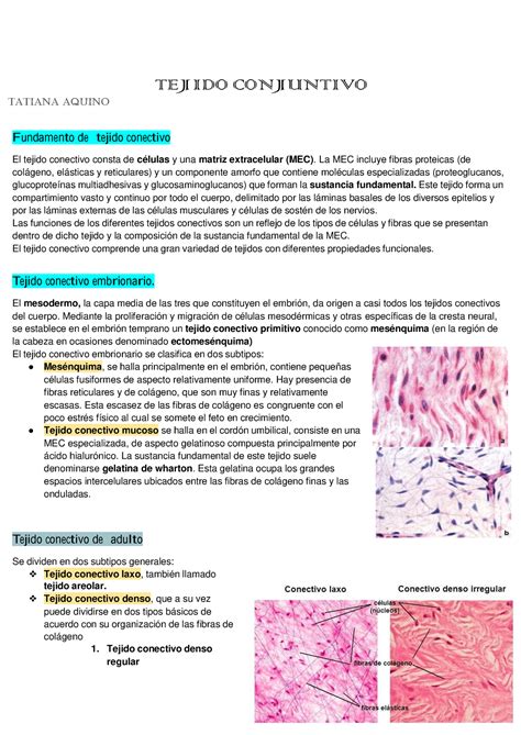 Resumen Tejido Conjuntivo TEJIDO CONJUNTIVO TATIANA AQUINO Fundamento