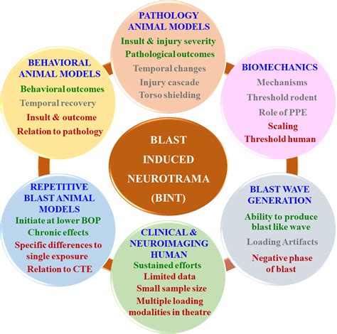 Twenty Years Of Blast Induced Neurotrauma Current State Of Knowledge