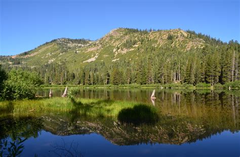 Field Trips with Friends - Friends of Plumas Wilderness