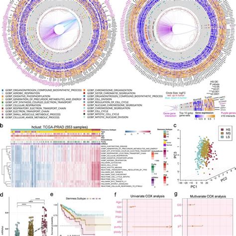 Identification Of Three Pca Stemness Subtypes Based On Stemness