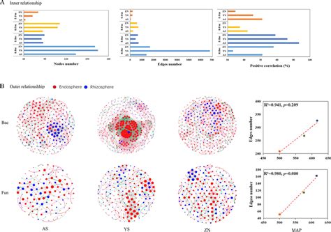 Characterization of microbial network properties within and among ... 