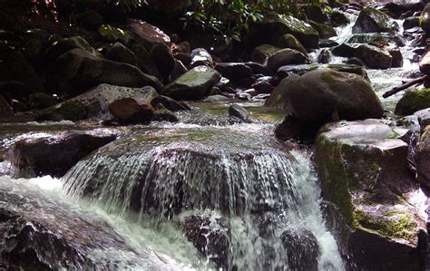 Mountain stream 2 Free Photo Download | FreeImages