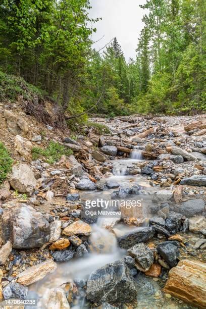 224 Gold River British Columbia Stock Photos, High-Res Pictures, and ...