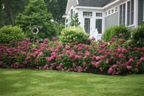 5 Best Landscaping Ideas For Front Yard Decorreal Front Yard