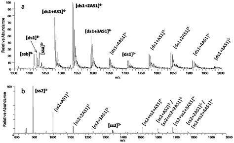 Esi Mass Spectrum Of 50 Um As1 With A 10 M Duplex 1 B And 10 M Ss2