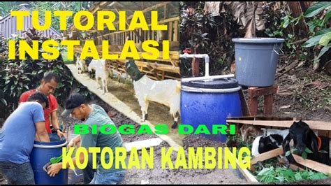 TUTORIAL INSTALASI BIOGAS SEDERHANA KOTORAN KAMBING YouTube