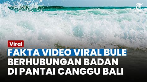 Video Bule Berhubungan Badan Di Pantai Canggu Bali Polisi Ungkap