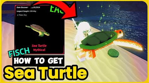 How To Get The Sea Turtle In Fisch Ultimate Guide YouTube