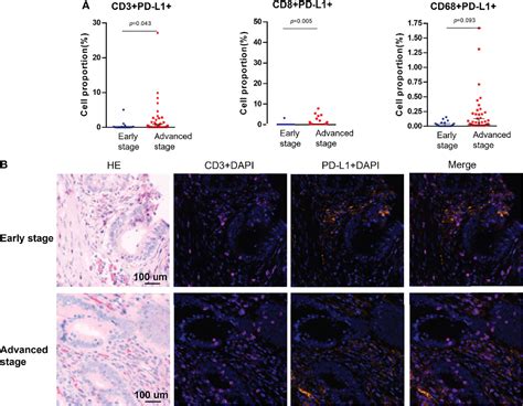 Frontiers The Alteration Of T Cell Heterogeneity And PD L1