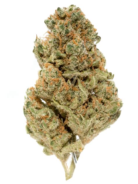 Mango Kush Weed Strain Information | Weedmaps