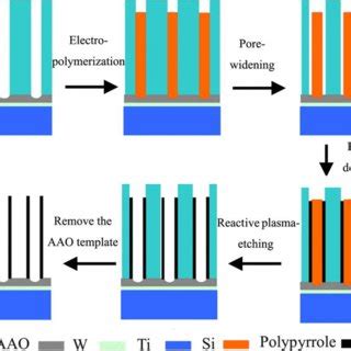 Color Online Schematics Of The Fabrication Process Of Ni Nanotube