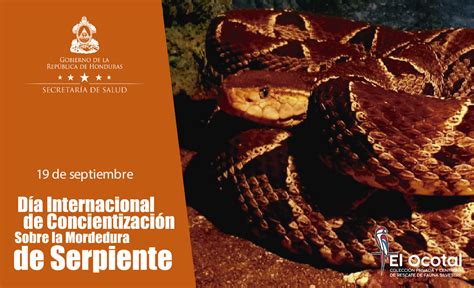 D A Internacional De Concientizaci N Sobre La Mordedura De Serpiente