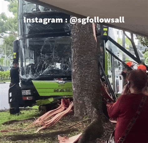 Driver Dies After Double Decker Smrt Bus Crashes Into Tree In Woodlands