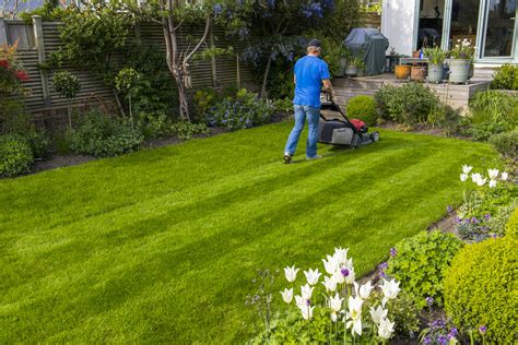 Secrets Pour Une Tonte De Pelouse Impeccable D Tente Jardin