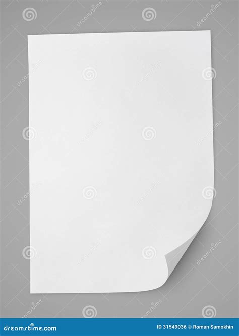 Blank Sheet Of White Paper Stock Photo Image Of Curl 31549036