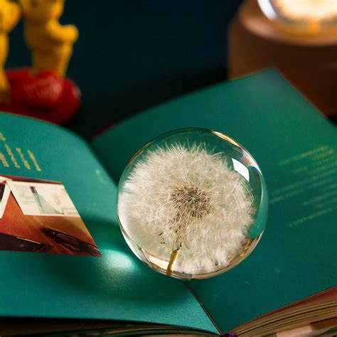 Resin Unique Crystal Ball With Flower Adds Elegance To Space Easily