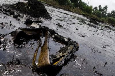 Tree Huggers: Niger Delta Oil Spills