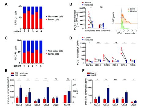 Blockade Of C C Chemokine Receptor 5 Ccr5 Represses The Expression Of