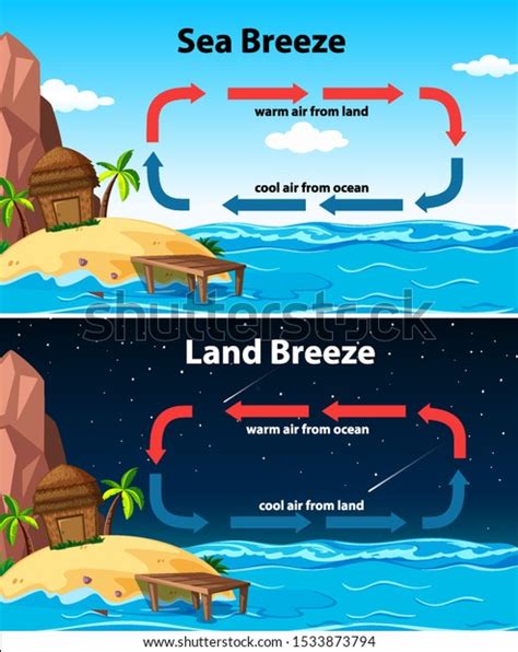 Diagram Showing Sea Land Breeze Illustration Stock Vector Royalty Free