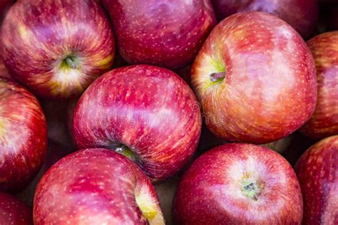 Close Up Of Shiny Red Juicy Ripe Apple Fruits At The Fruit Market