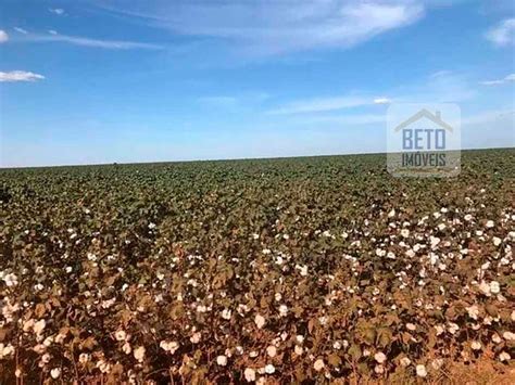 Fazenda Sítio 267260000 m² em Zona Rural em Nova Mutum por R 3 000