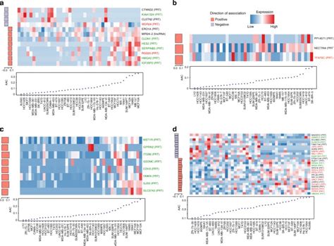 Gene Isoforms As Expression Based Biomarkers Predictive Of Drug