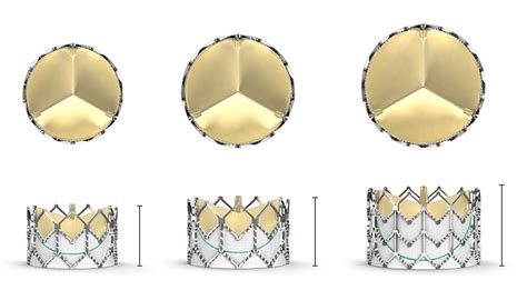 Fda Approves Edwards Lifesciencies Sapien Xt For Pulmonary Valve