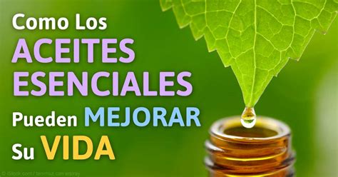 Los Beneficios De Los Aceites Esenciales Que Mejoran Su Vida