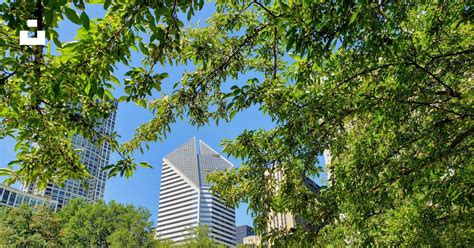 Green Trees Near High Rise Buildings During Daytime Photo Free