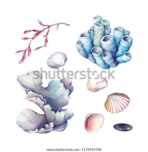 Watercolor Set Underwater Life Objects Hand Stock Illustration