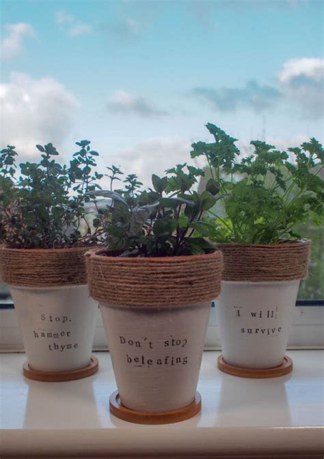 Diy Painted Terracotta Plant Pots With Herb Puns Mum In The Madhouse