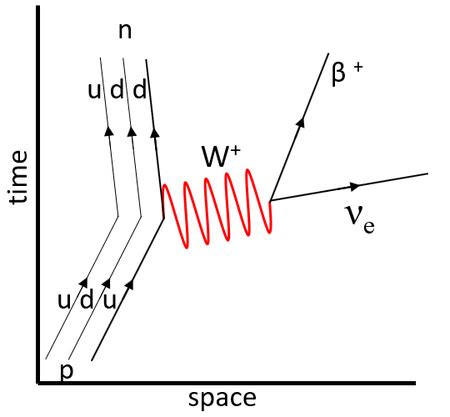 Beta Plus Decay Feynman Diagramm