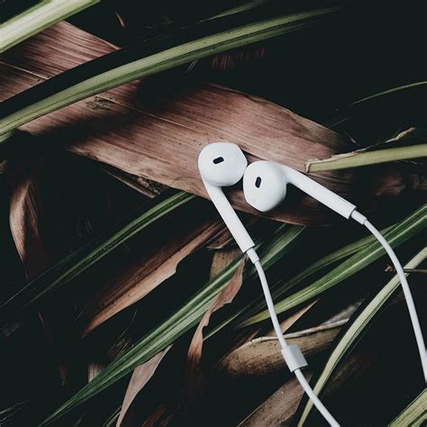 Headphones Music Audio Wallpaper - [1024x1024]