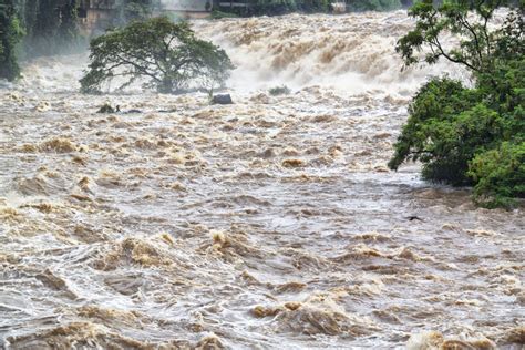 Inondations en Algérie Montée des eaux et routes bloquées dans de