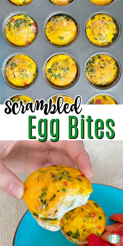 Easy Egg Bites Muffin Tin Recipe Kays Clean Eats 49 Off