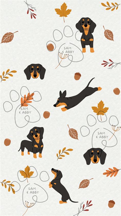 Dachshund Phone Wallpaper - Etsy