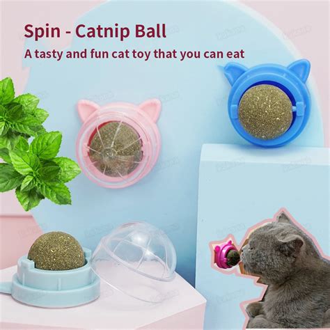 Jouet En Herbe De Cataire Pour Chat Boule De Menthe Bouche Propre