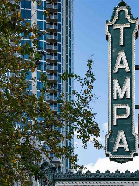 Guide to Free Attractions in Tampa Bay Florida - She's Trippy