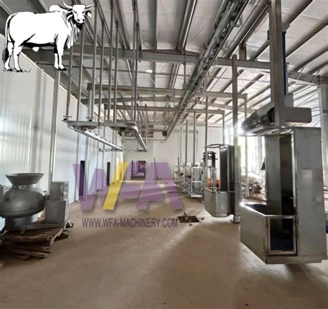 Special Customize Industrial Halal Cattle Cow Slaughtering Abattoir