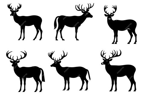 Premium Vector Deer Silhouette Vector Illustration