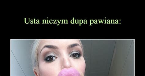 Usta Niczym Dupa Pawiana Demotywatory Pl