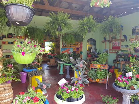 Avalia Es Sobre Floricultura Julia Floricultura Em Manaus Amazonas