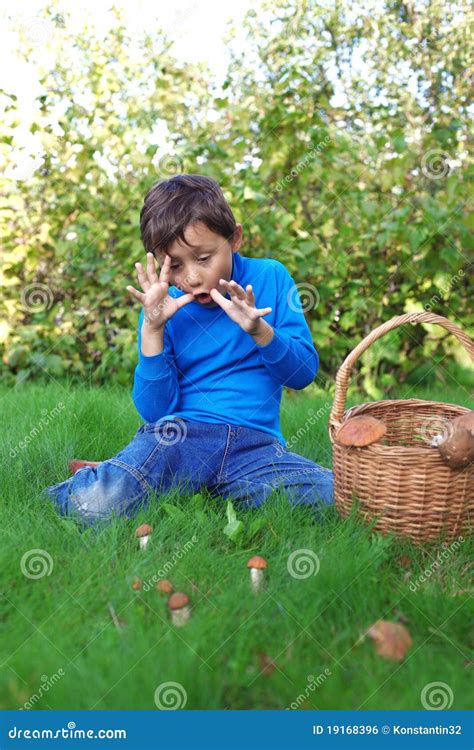 Little boy with mushrooms stock photo. Image of happiness - 19168396