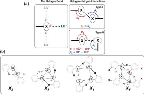 A Schematic Showing The Halogen Bond And Halogen Halogen