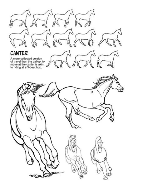 Majestic Movement | Horse drawings, Horse drawing, Horses