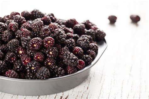 A Comprehensive A-Z List Of Berry Types From Acai To Tayberry ...