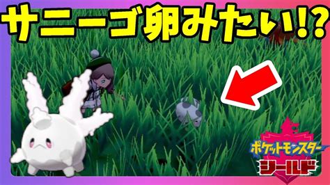 ポケモン ソード限定ポケモン